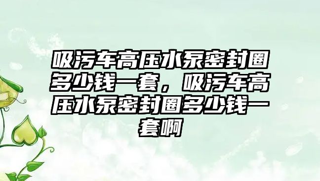 吸污車高壓水泵密封圈多少錢一套，吸污車高壓水泵密封圈多少錢一套啊